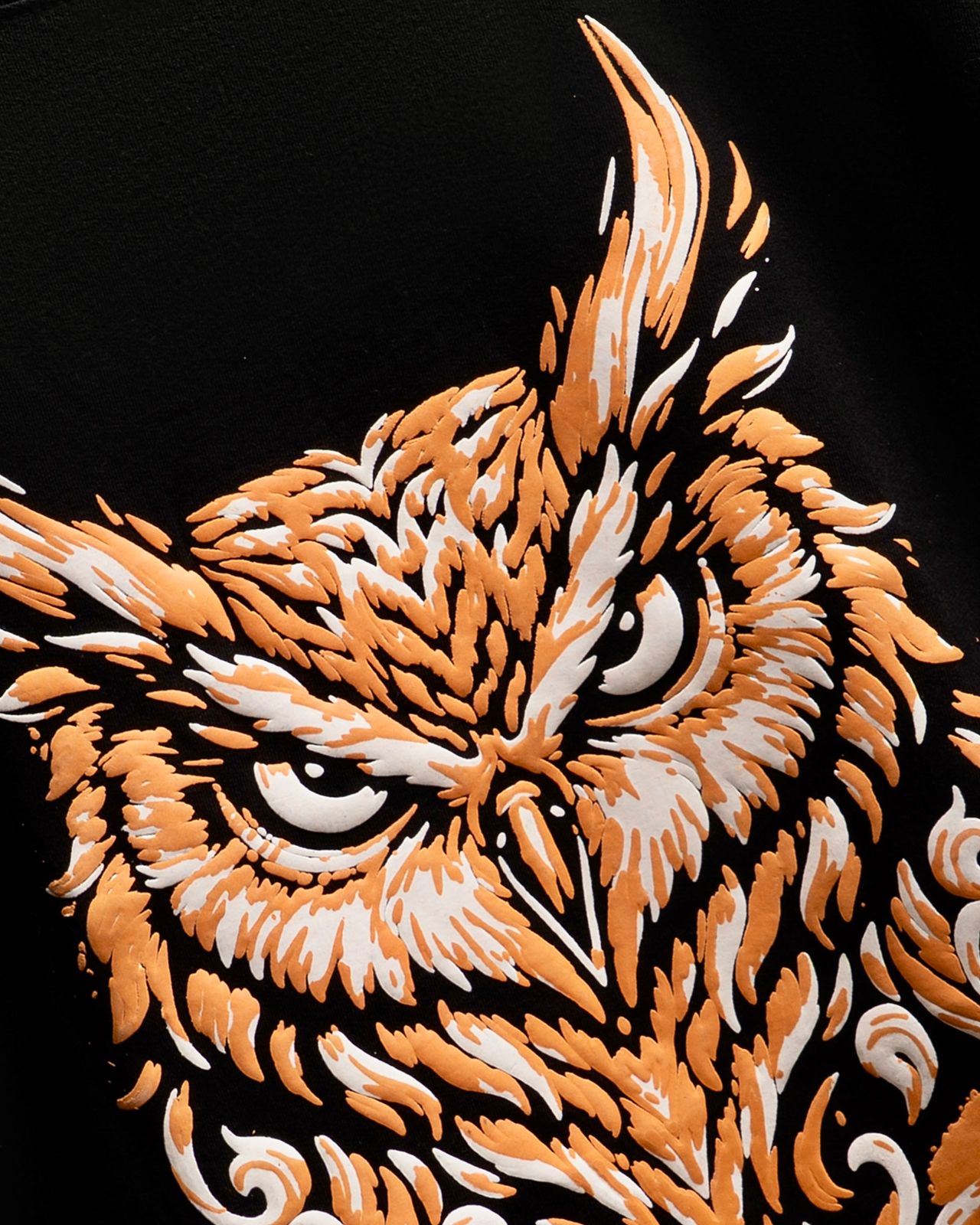 Eyes of the North